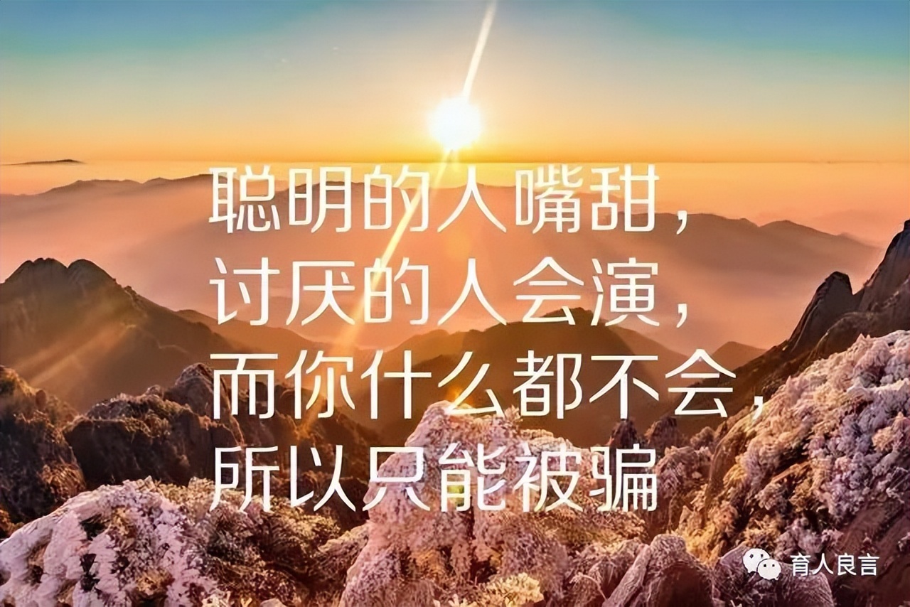 哲理句子人生感悟（关于感悟人生的句子）
