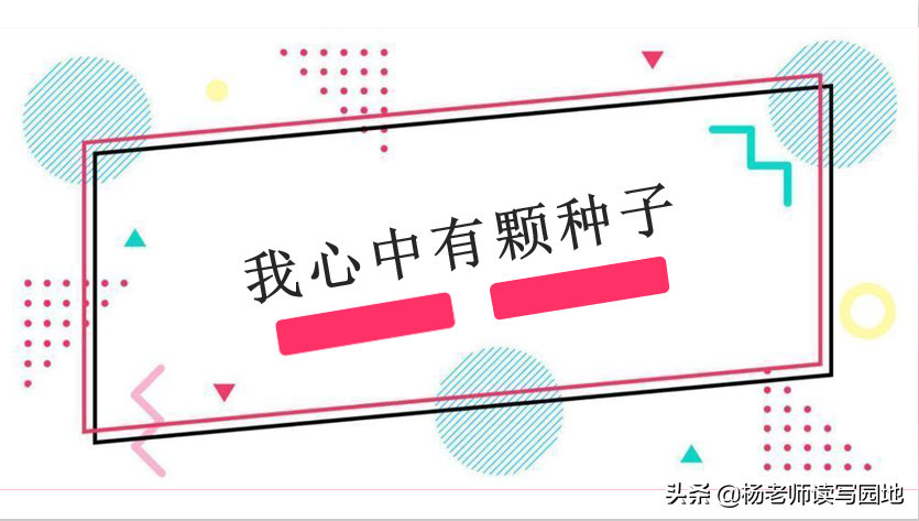 我心中有一粒种子600字作文（心中的一粒种子满分作文）