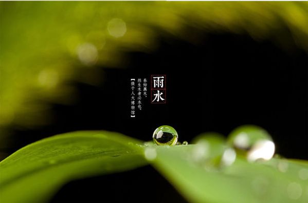 有关于雨水节气的诗句（雨水节气的古诗俗语和谚语）
