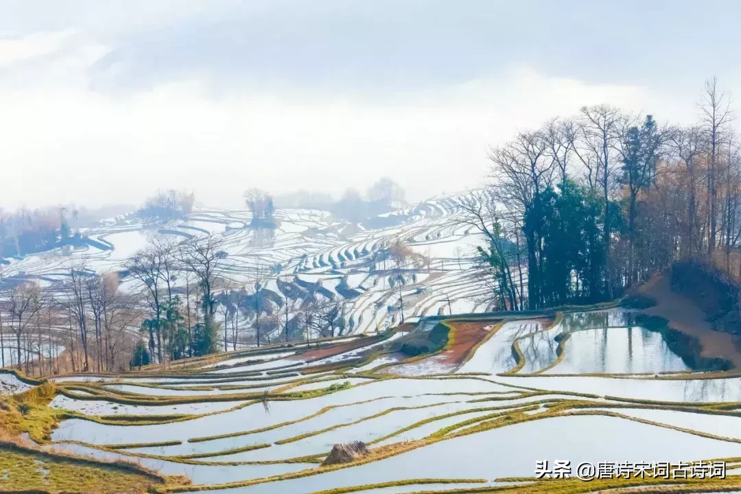 辛弃疾的诗有哪些（辛弃疾主要代表作品鉴赏）