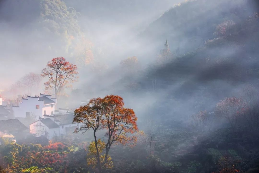 劝学的诗句有哪些（劝学上进的名言警句）