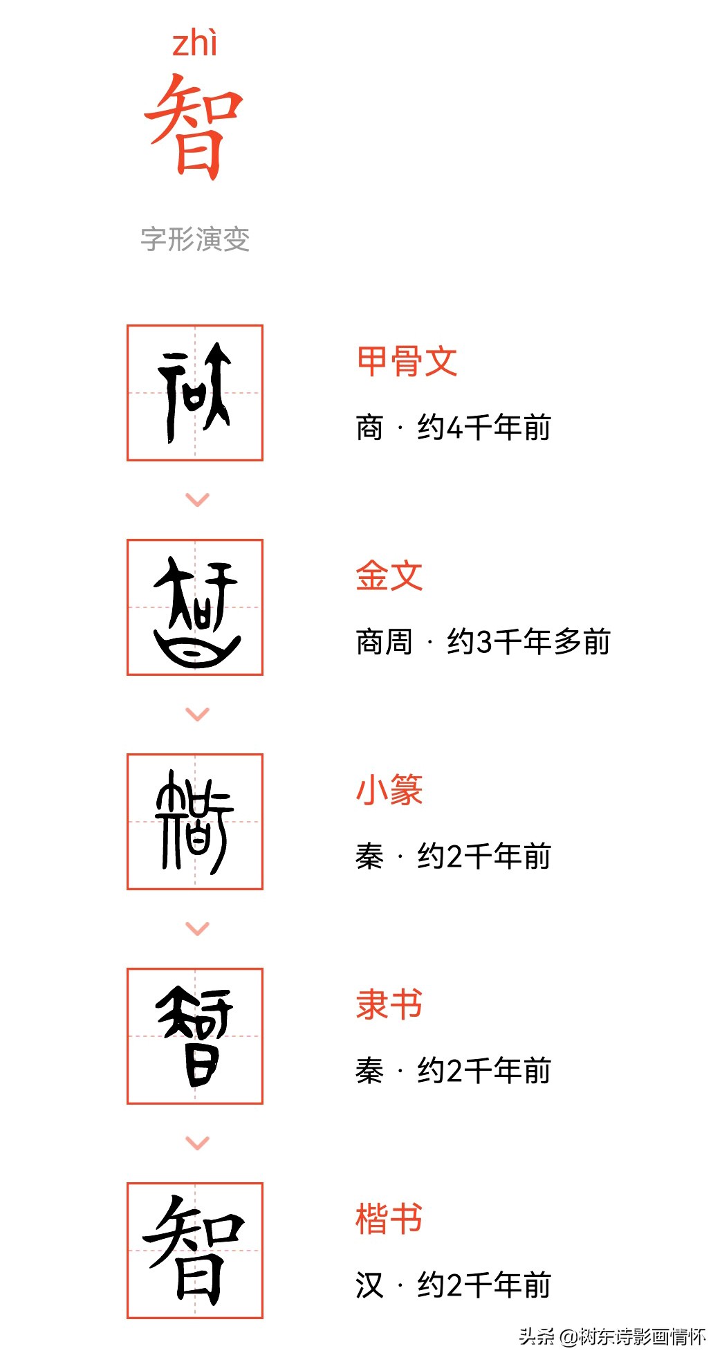 智字开头的成语有哪些（智的成语四个字大全）