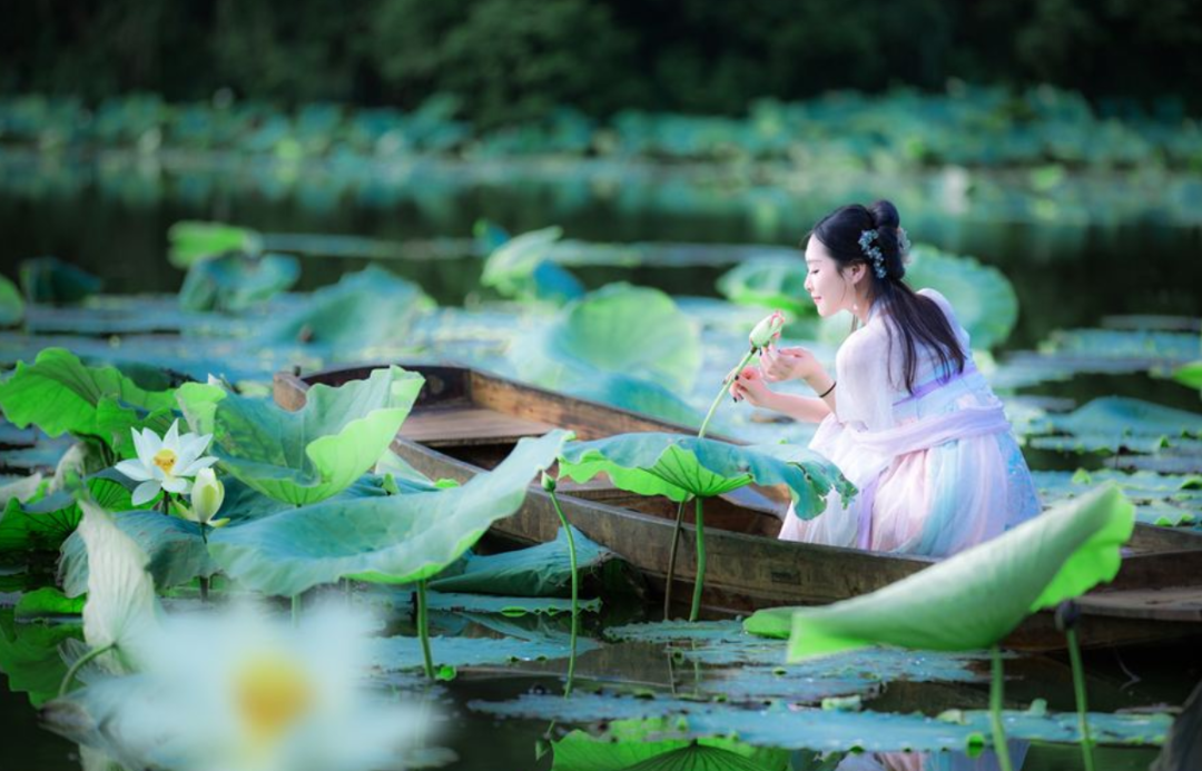 摊破浣溪沙李清照（浣溪沙李清照赏析）