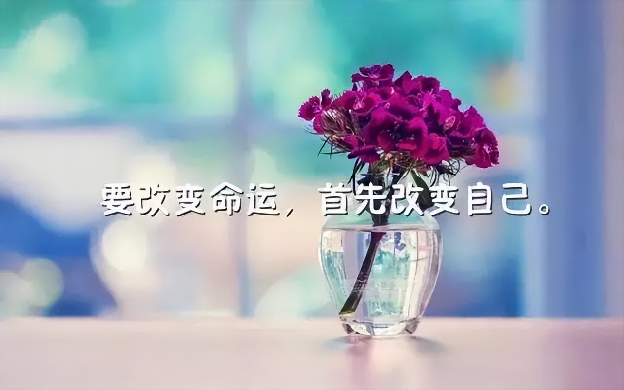 简单生活心态的句子（放好心态顺其自然的句子）