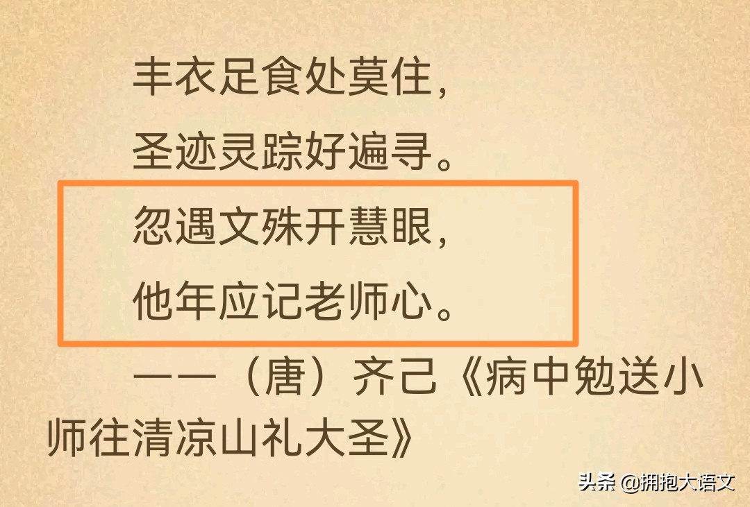 歌颂教师的优美句子（赞美老师的金句）
