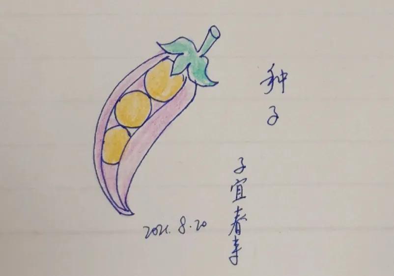 树立志向的名言警句（关于坚定志向的名言警句 ）