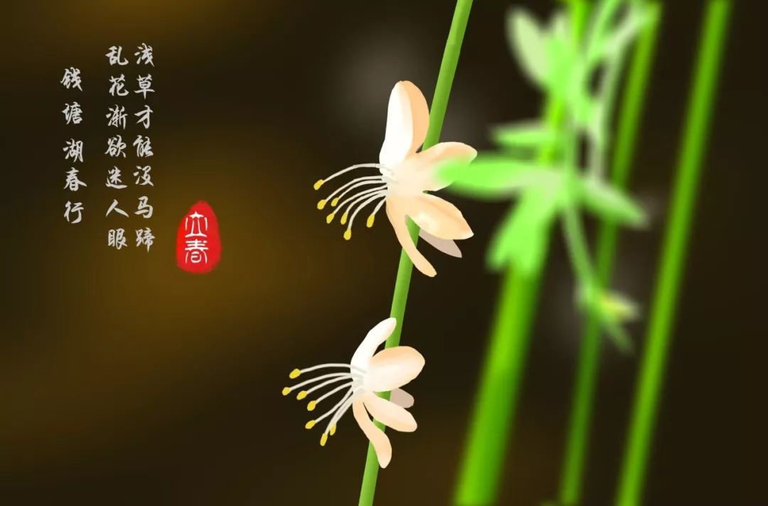 二十四节气的古诗有哪些（关于节气的诗词欣赏）