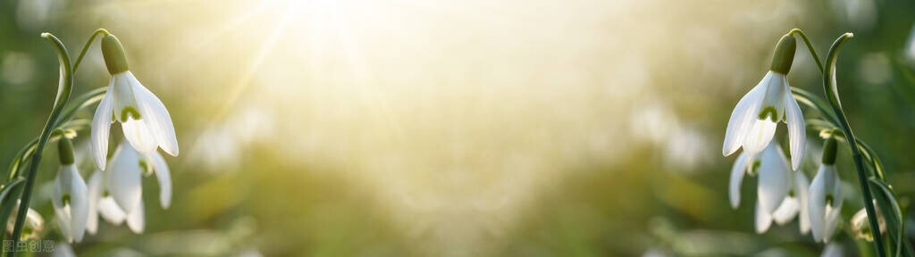 描写春天的句子有哪些（春天的优美句子摘抄）