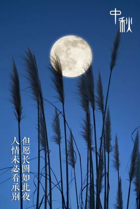 关于中秋的宋词有哪些（中秋有关的宋词欣赏）