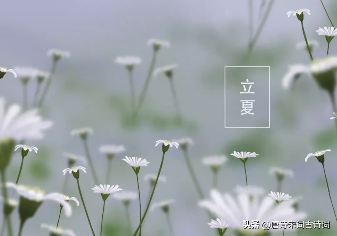 立夏的诗词有哪些（描写立夏的古诗名句）