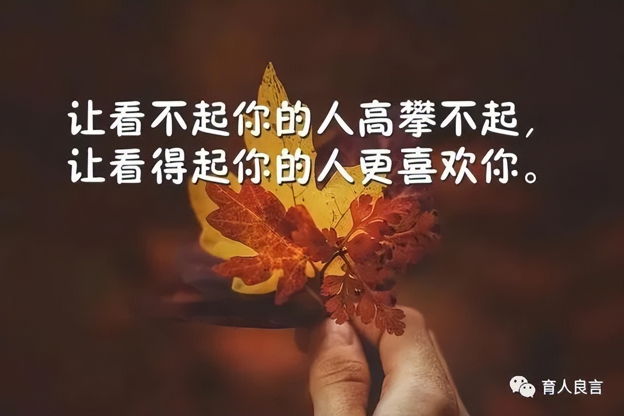 哲理句子人生感悟（关于感悟人生的句子）