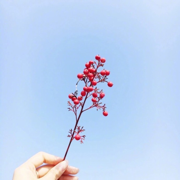微信早安问候语经典（早安正能量问候语大全）