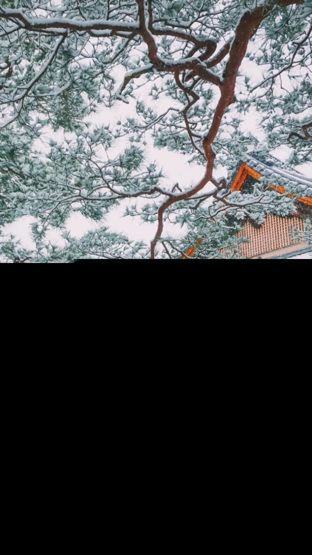 形容雪大的成语和诗句（关于雪的四字成语和诗句）