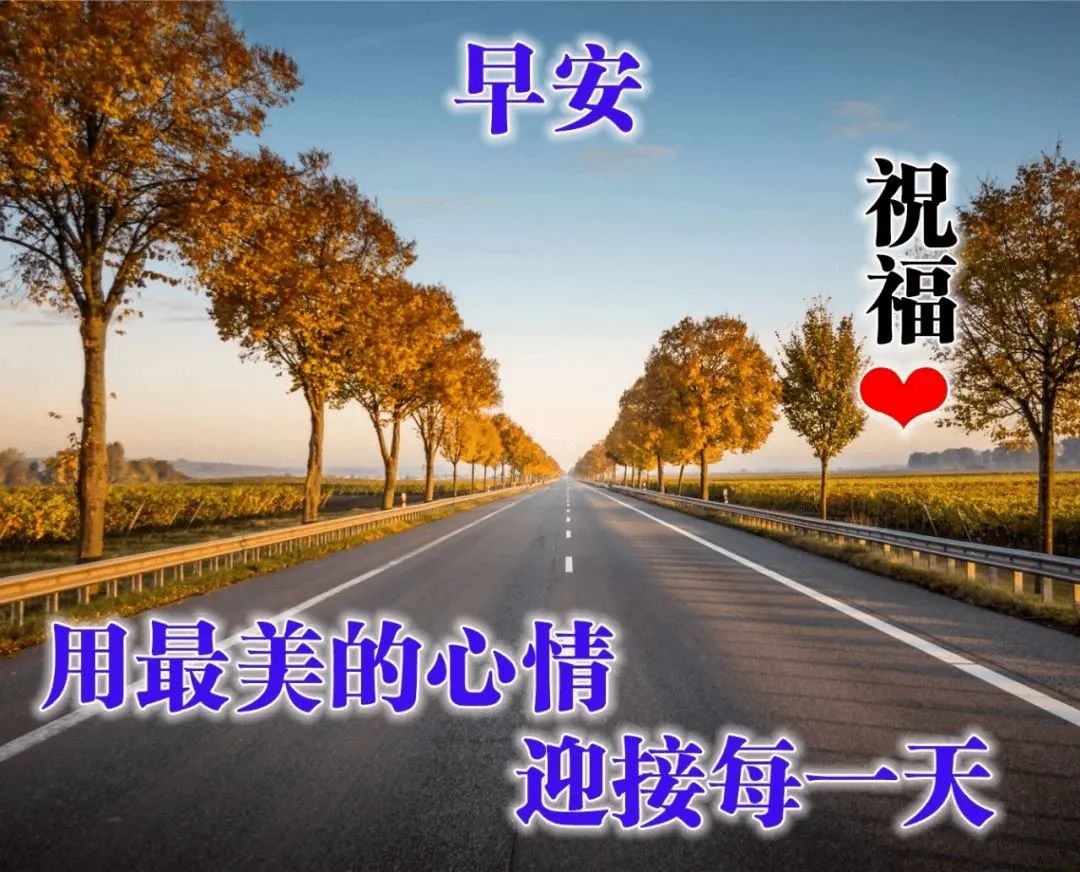 早上好短语大全（早上好祝福语简短句子）