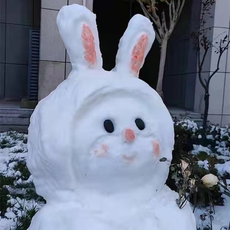下雪天的唯美文案（雪景发朋友圈配文）