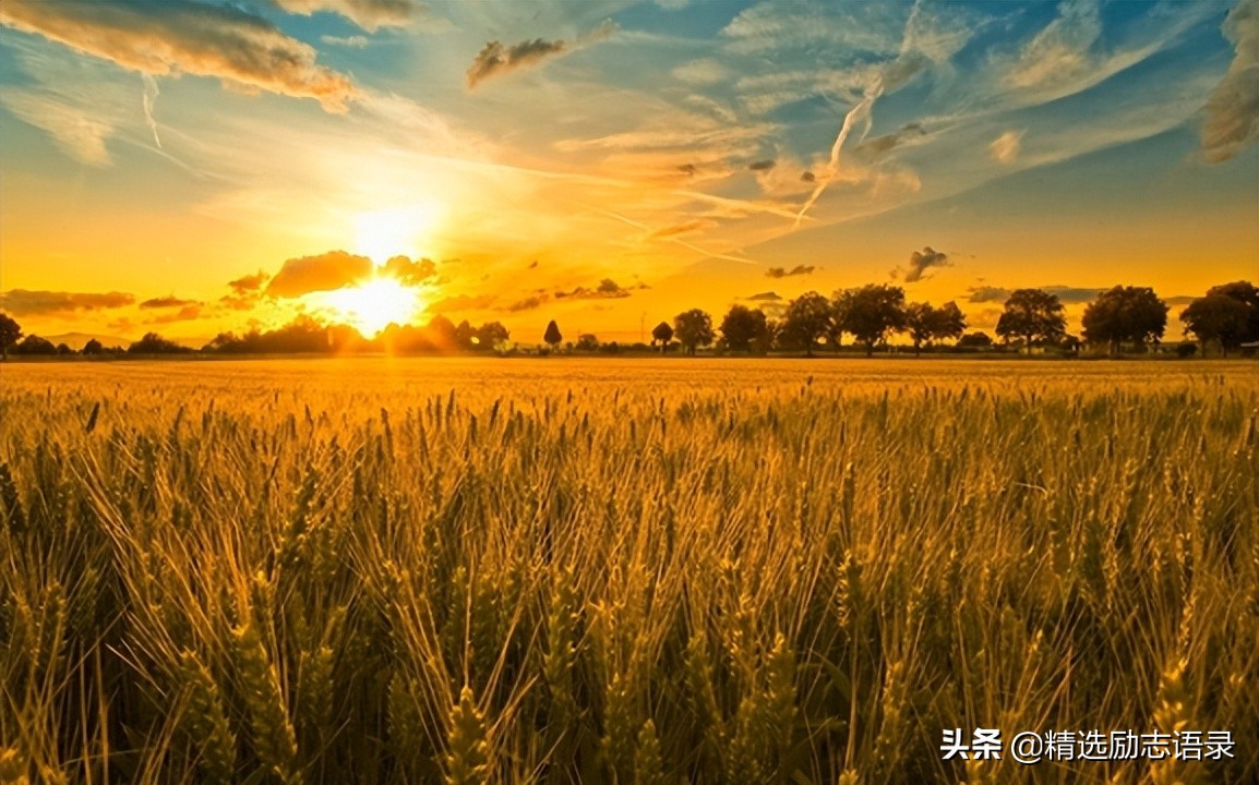 想表达感恩感谢的句子（感谢一个人的简短句子）