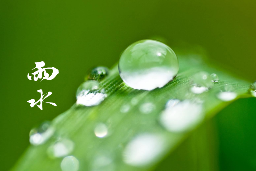 关于春雨的诗句唯美（描写春雨的句子诗句）