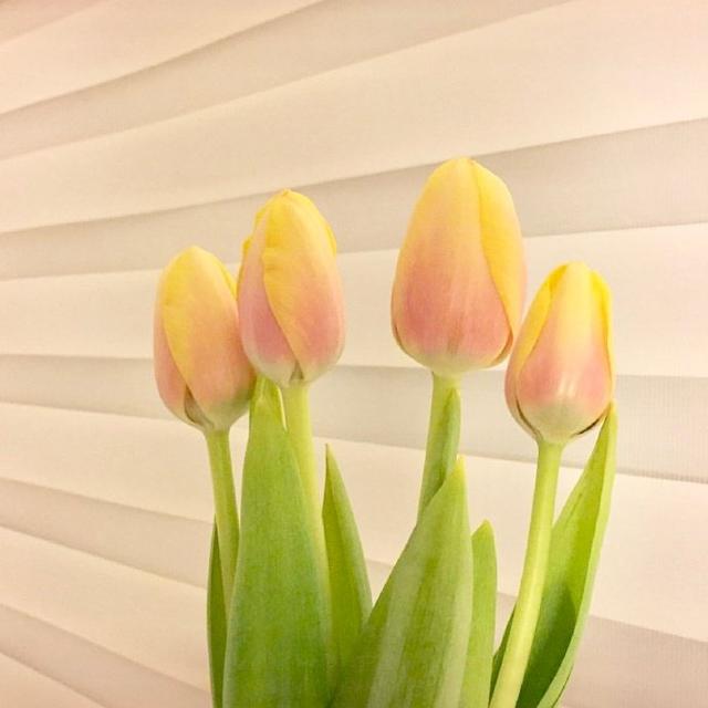 祝母亲节的祝福语大全（三八妇女节的佳句）