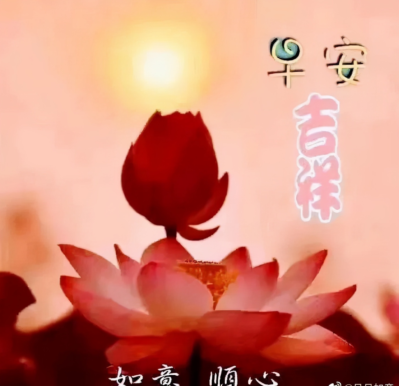 享受生活的唯美句子（享受生活语录经典短句）