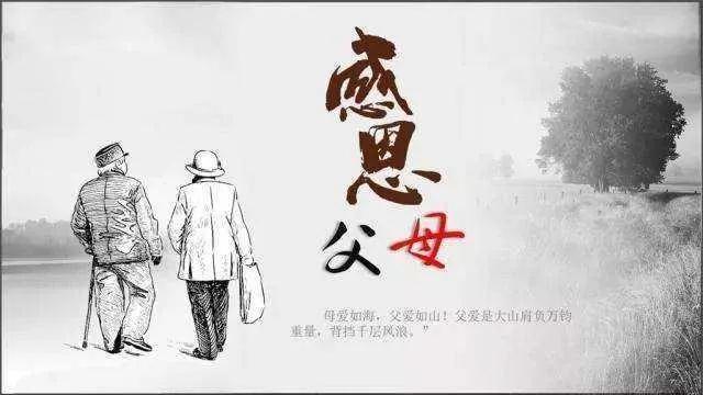 感恩父母诗歌朗诵大全（感恩父母的一篇美文）
