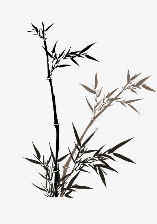 关于竹的古诗有哪些（最著名的咏竹诗）