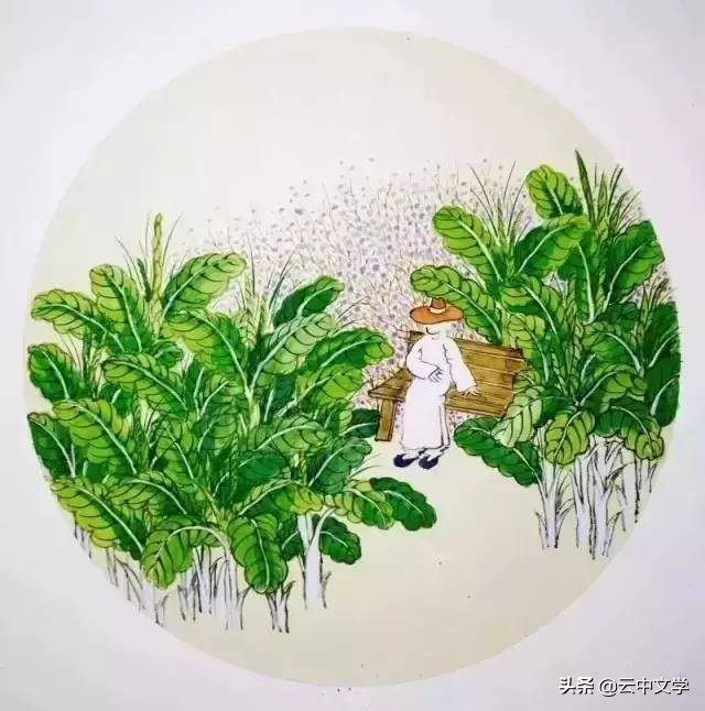 表示看的成语有哪些（各类型成语大全）