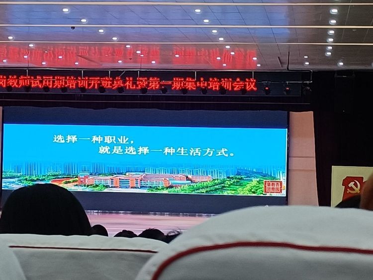 新教师培训心得（教师三新培训心得体）