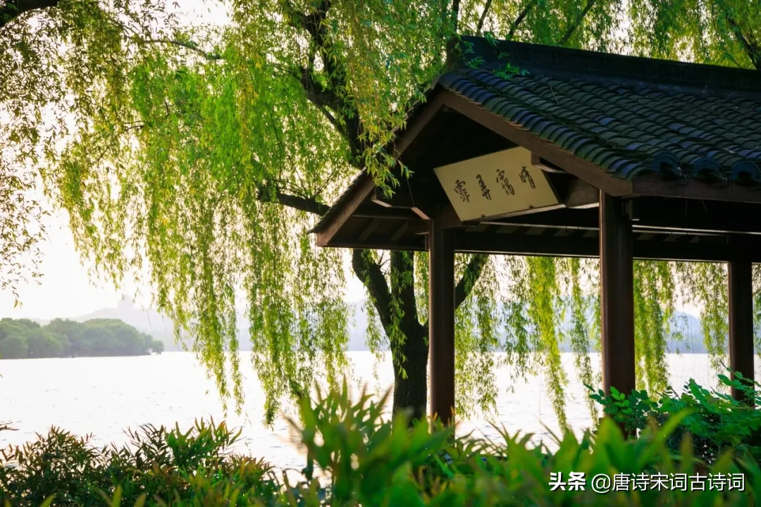 关于春分的诗句有哪些（有关春分的诗句赏析）