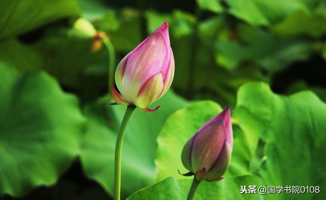 做事认真负责的成语（形容做事认真的成语大全）