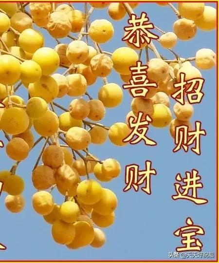 发财祝福语（发财好运的经典句子）