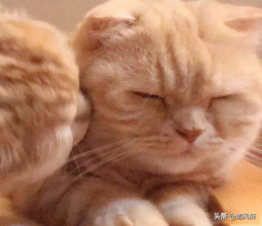 描写夜晚的优美句子（深夜致自己的短句）