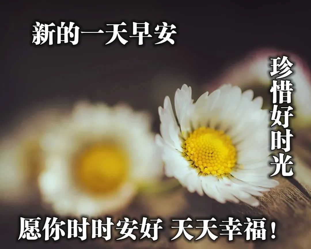 早安励志语正能量（励志语录正能量早安心语）