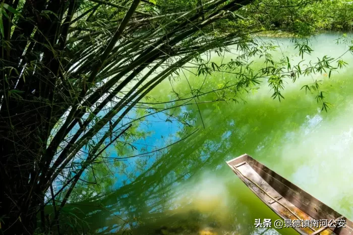 夏天的诗句古诗大全（描写夏天的古诗欣赏）