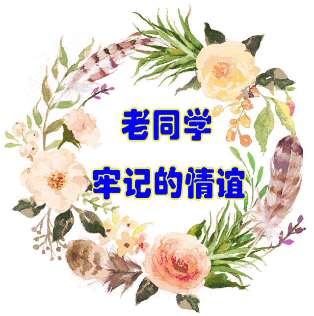 同学祝福语（写给同学最暖心短句）