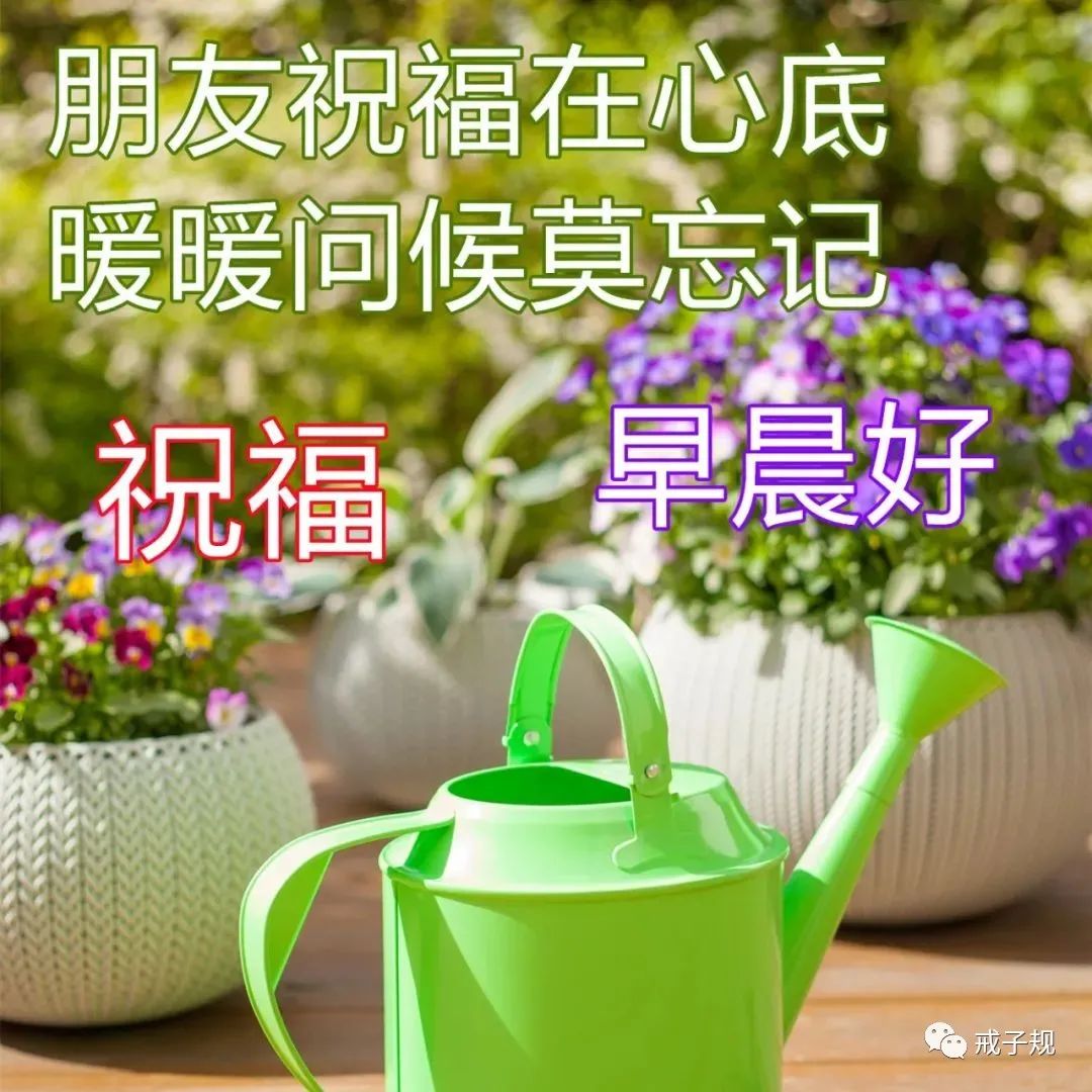 早上好的句子短句唯美（积极向上阳光励志短语）