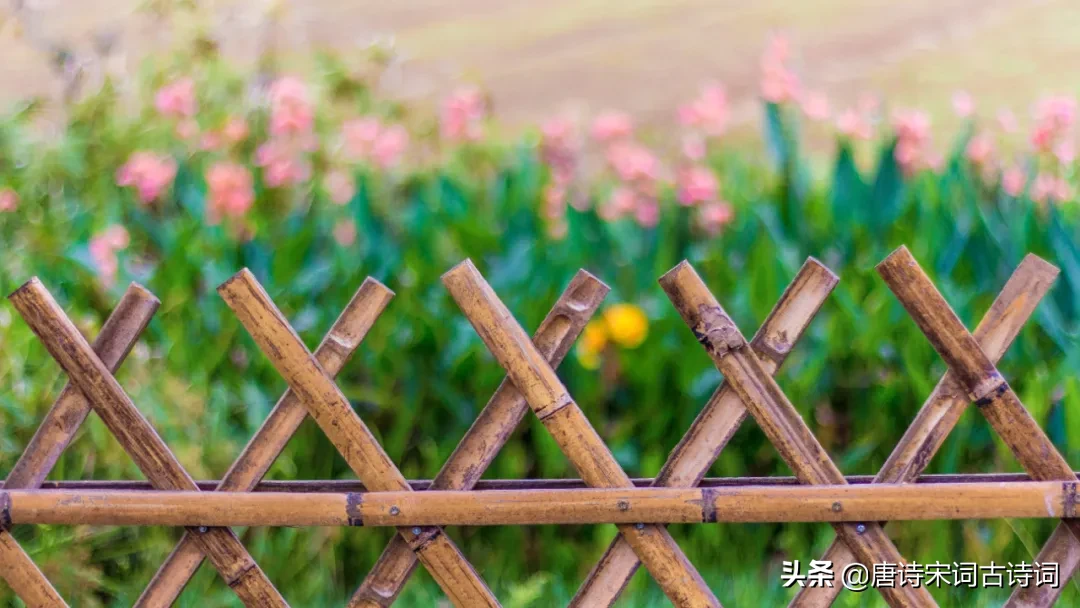 立夏的诗词有哪些（描写立夏的古诗名句）