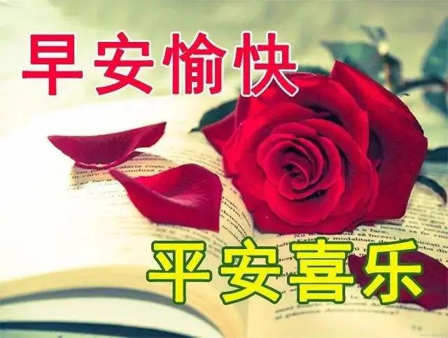 真心朋友简短暖心话（对最珍惜的朋友的话）