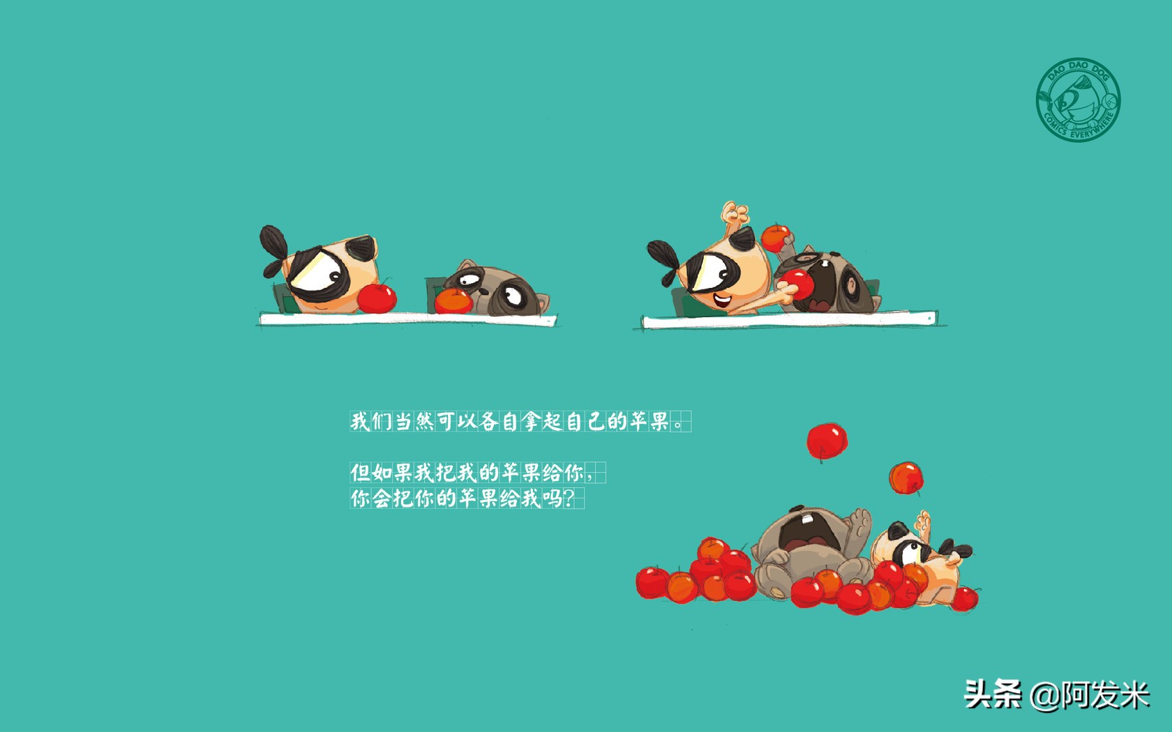 关于刀刀语录（刀刀经典语录分享）