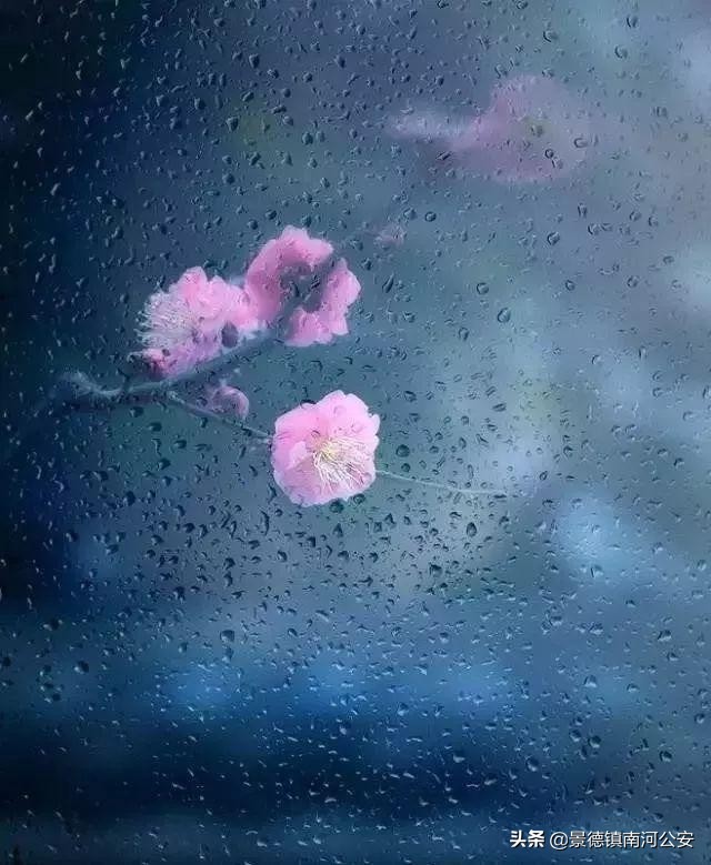 吹面不寒杨柳风的全诗（描写春天的古诗词名句）