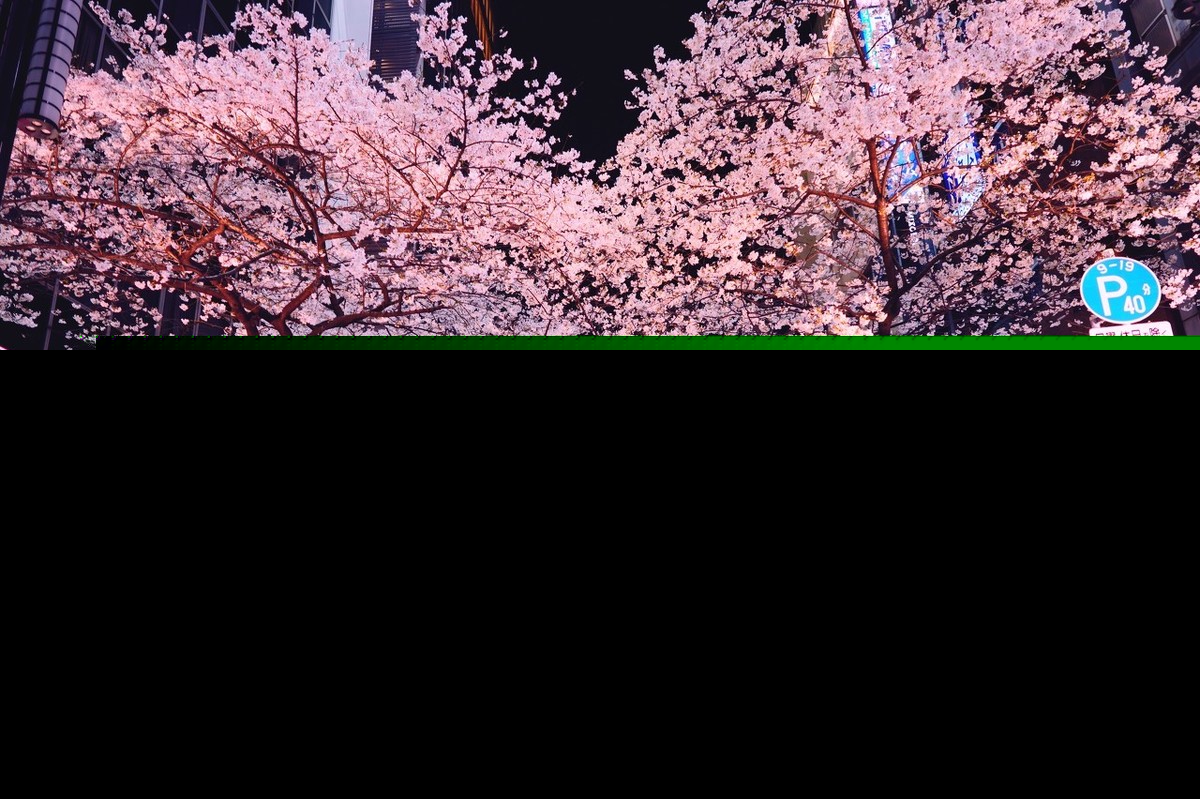 花月正春风全诗（关于描写春天的古诗句）