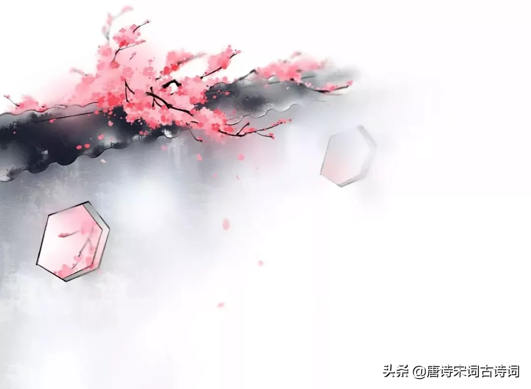 描写桃花的诗词名句（赞美桃花的名言佳句）