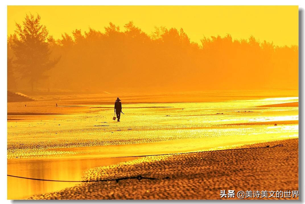 枝上柳绵吹又少全诗（蝶恋花春景赏析）