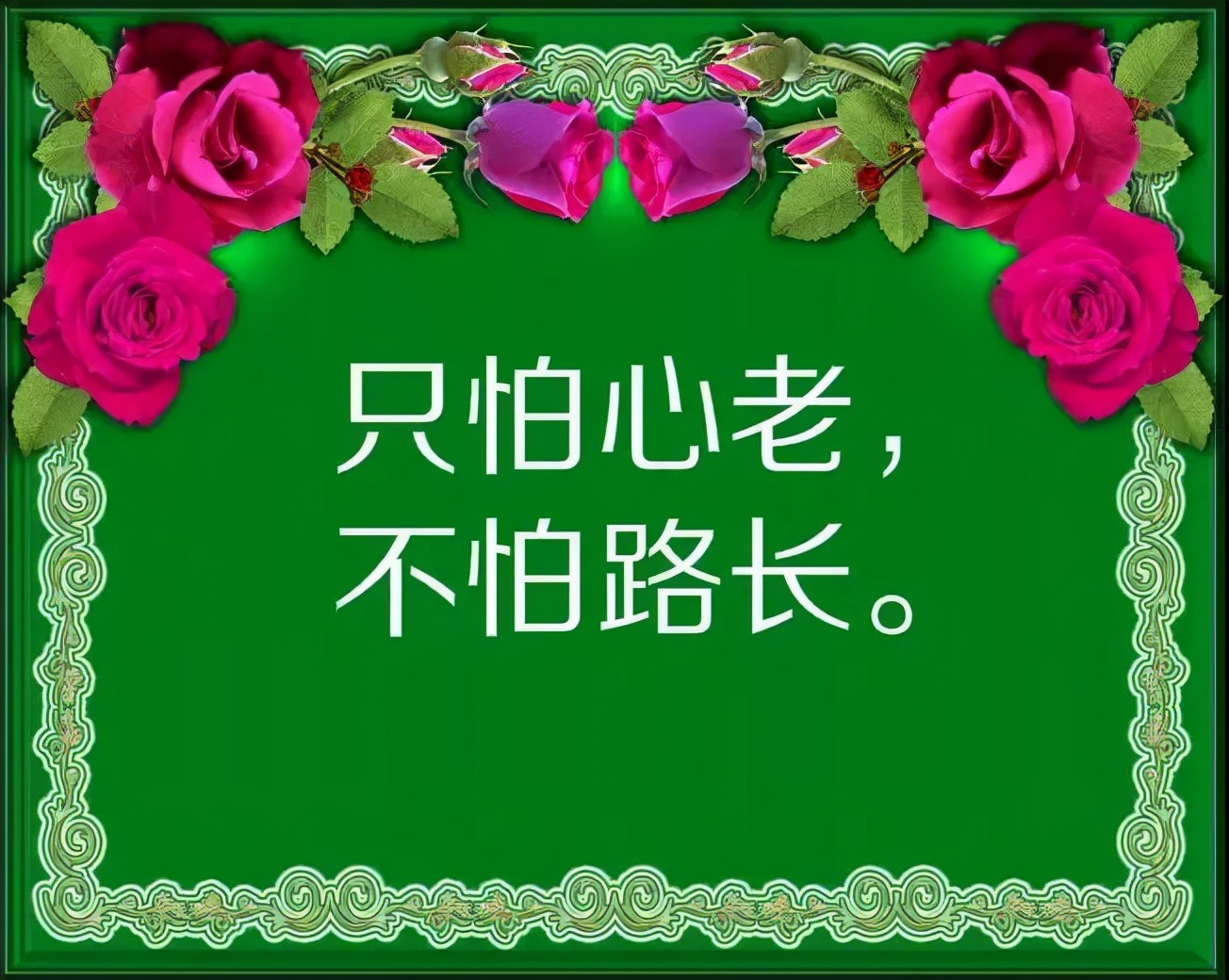 人生感悟句子(经典人生感悟句子精选简短)