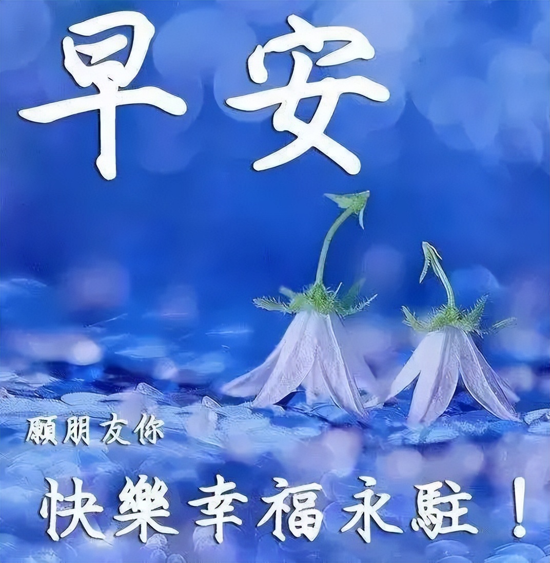 早安短信最温馨的话语（特别暖心的早安问候语）