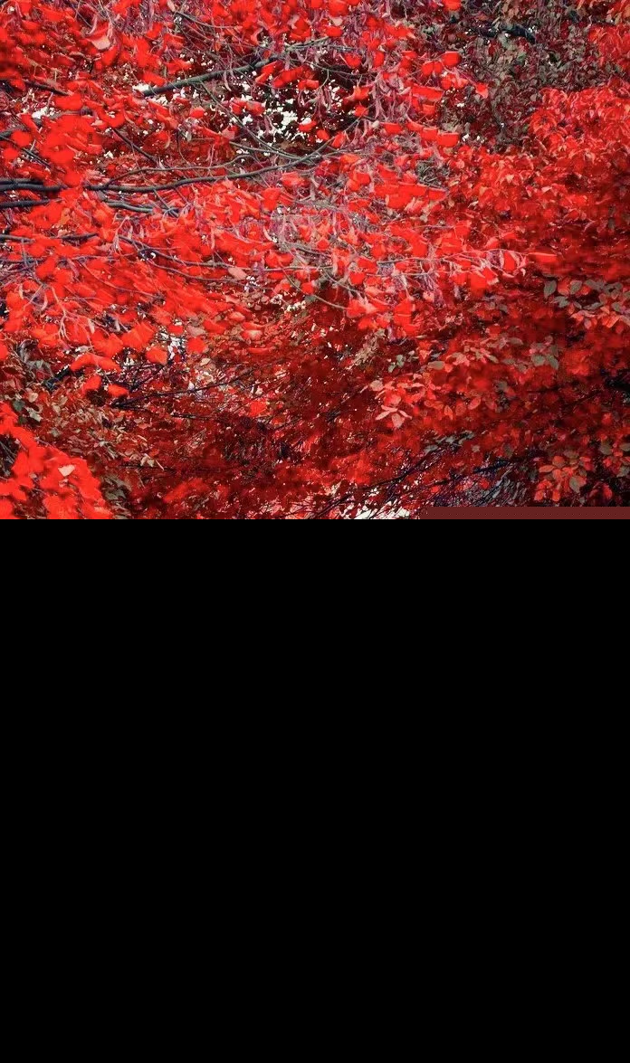 经典名句人生感悟（很精辟的人生感悟句子）