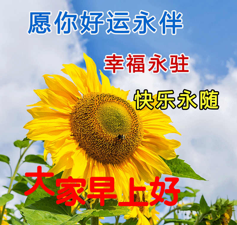 时光短句八个字祝福（时光友谊不散的句子）