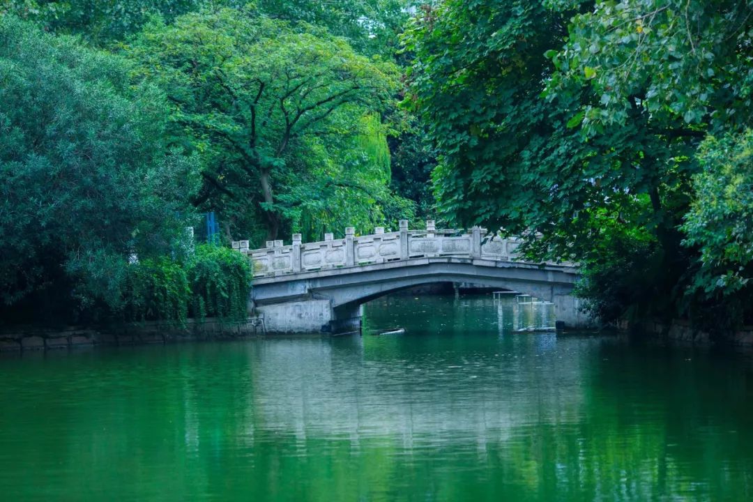 读书的诗词名句大全（关于读书的简短小诗）