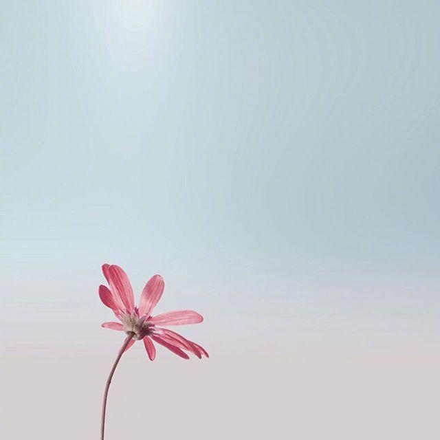 母亲节祝福语简短语句（写一句表达对妈妈爱的话）