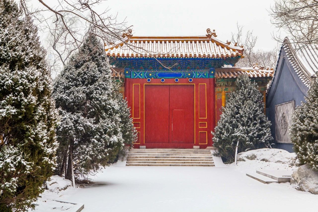 与雪有关的诗句精选（描写雪的古诗词名句）