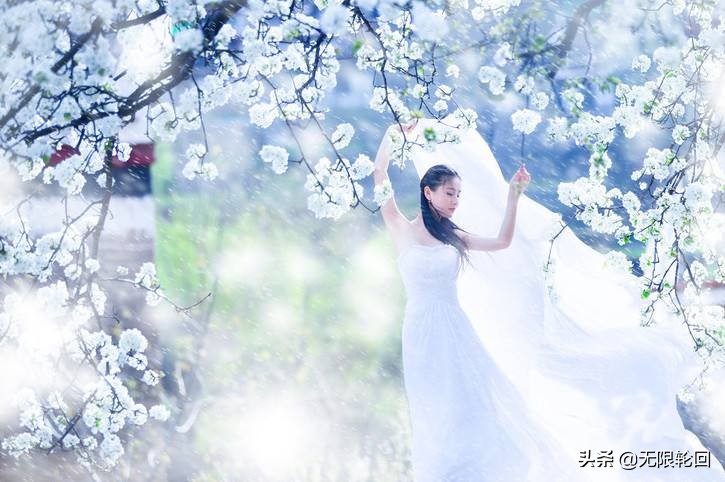 梨花诗歌大全分享（描写梨花的优美古诗）